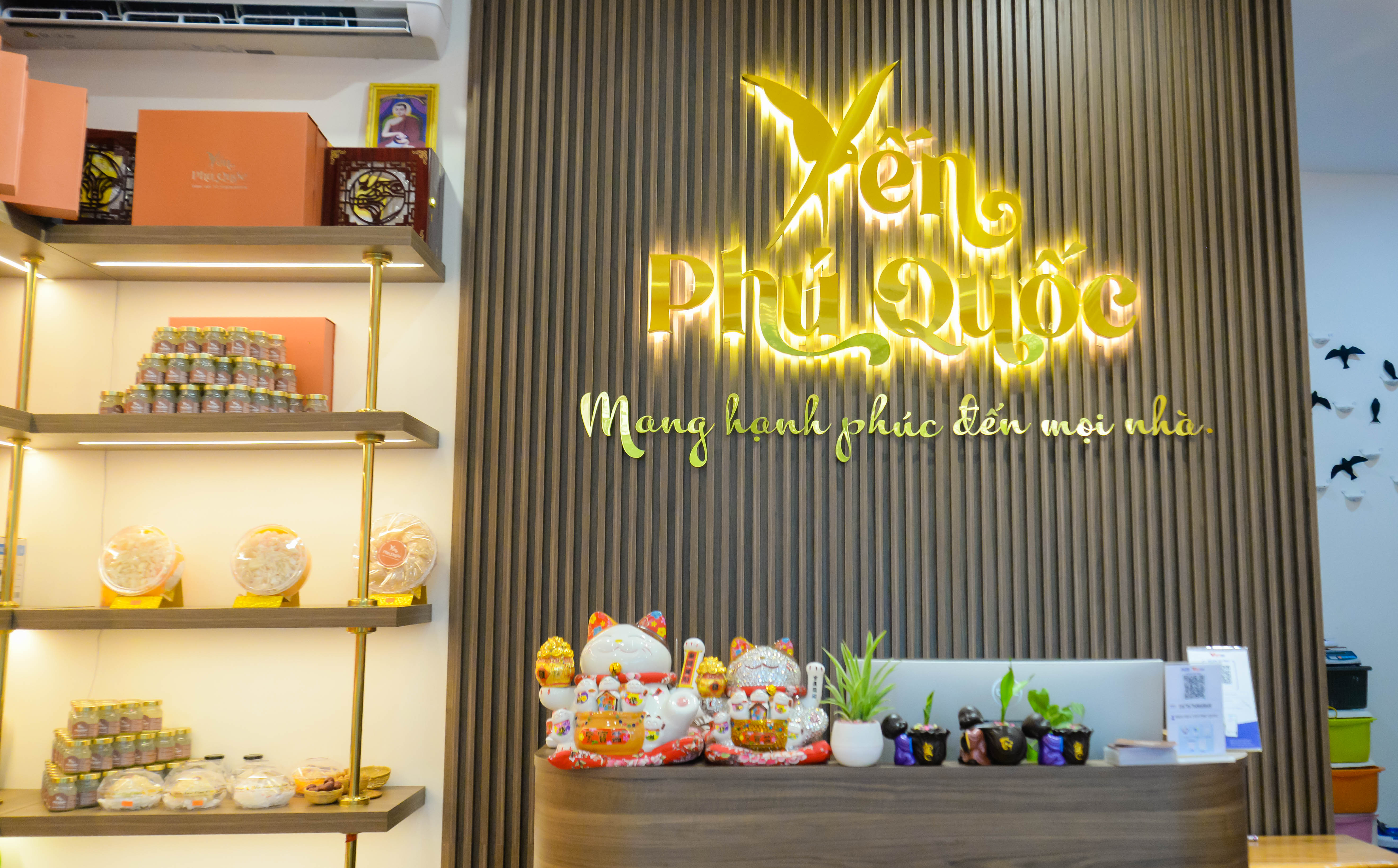 cách mua Yến Song Tiên chính hãng